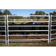 Australia Cattle Panels